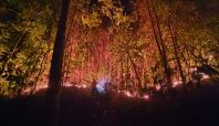 Kebakaran hutan dan lahan di Pulau Taliabu. Foto: Istimewa